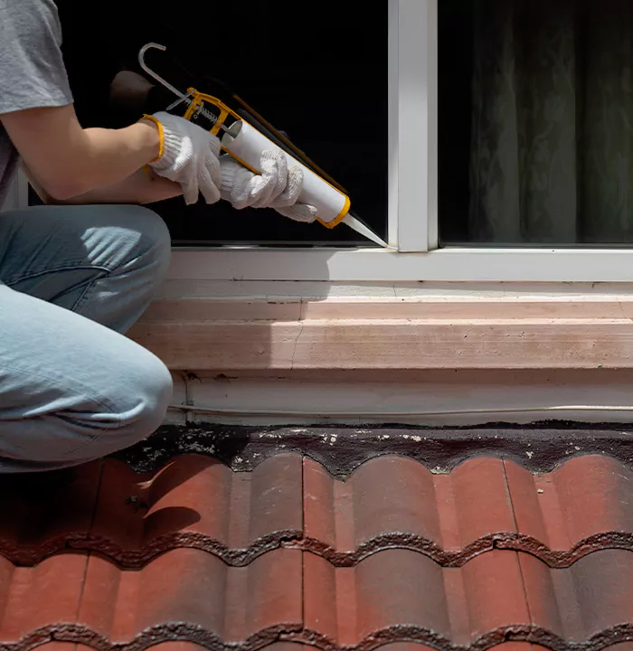 Roof Window Services in Deltona, Florida