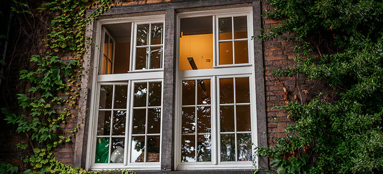 Energy Efficient Wood Windows in Deltona, FL