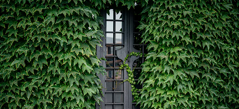 Garden Gate Repair in Deltona, FL