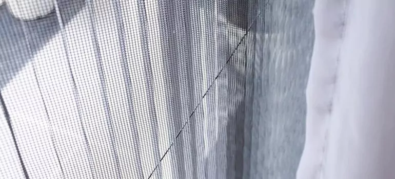 Fixing Screen Window Mesh in Deltona, FL